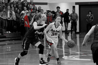 J-L Lady Cardinals vs. Gaylord St. Mary's Basketball 1-20-17